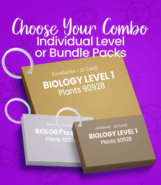 Level 1 Biology - Plants 90928